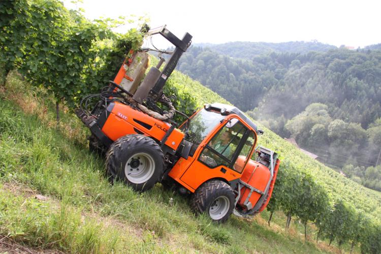 L 780 Weinbau