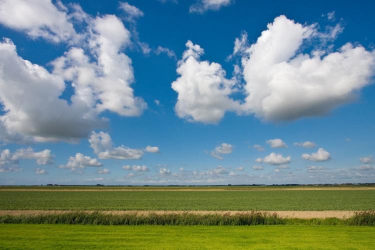 polder landschap 108157 Large