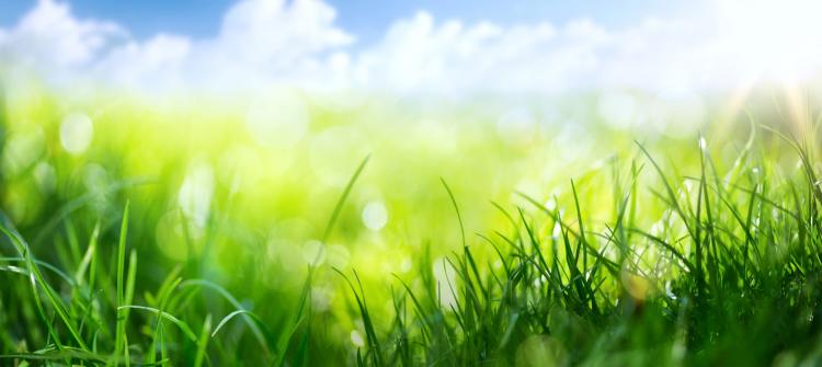 shutterstock 574939951 Large